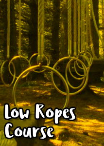 Image of Low Ropes Course Activity